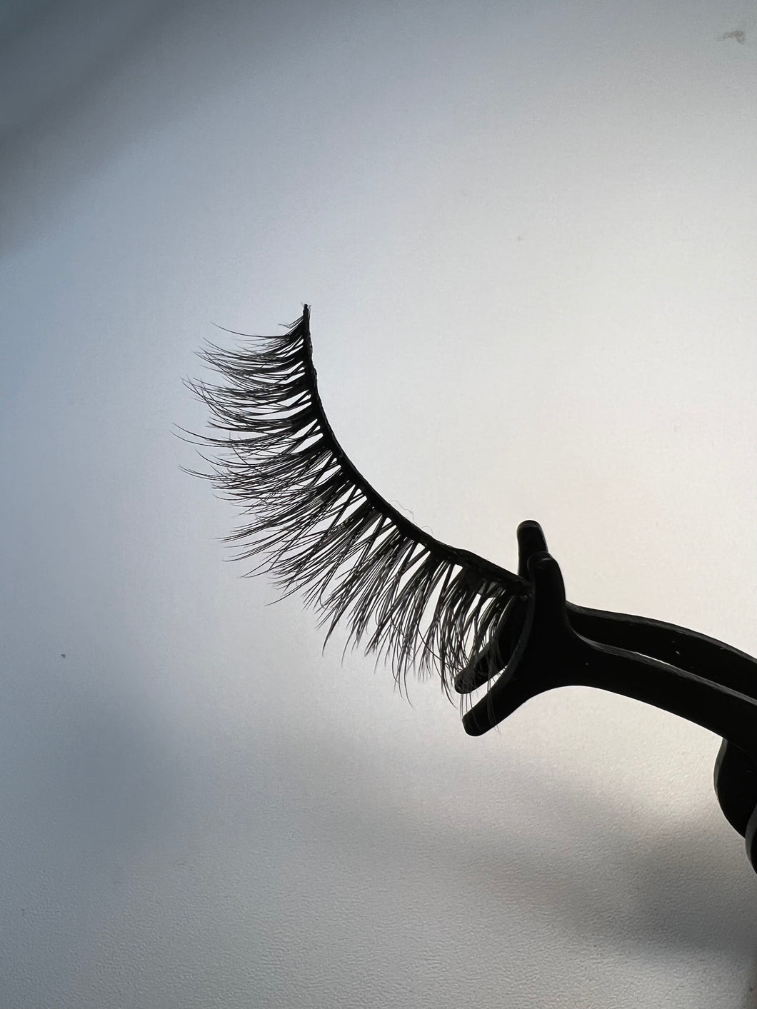 LASHES 